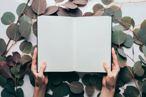 Обрізаний вид жінки, що тримає порожній щоденник на білому з листям евкаліпта — стокове фото