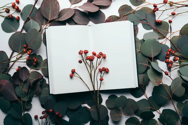 Top view of eucalyptus leaves and red berries with empty notebook on white — Stock Photo