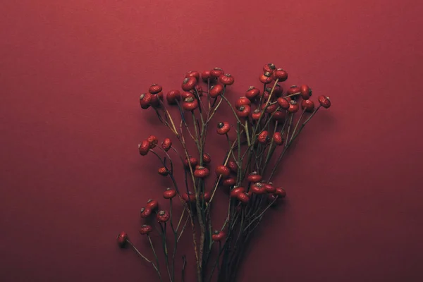 Top view of red decorative berries on red — Stock Photo