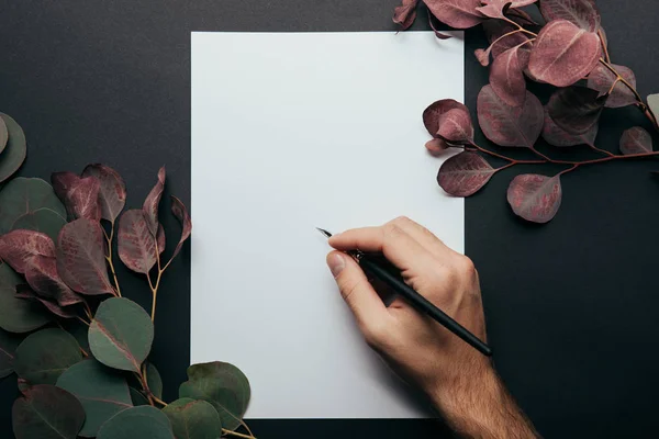 Vista cortada do homem escrevendo com caneta-tinteiro sobre papel em preto com ramos de eucalipto — Fotografia de Stock