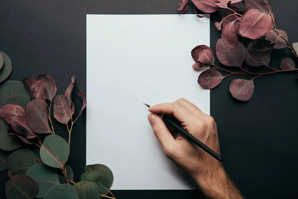 Vue recadrée de l'homme écrivant avec stylo plume sur papier noir avec branches d'eucalyptus — Photo de stock