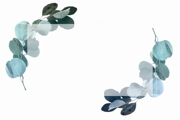 Diseño floral con hojas de eucalipto verde y marco - foto de stock