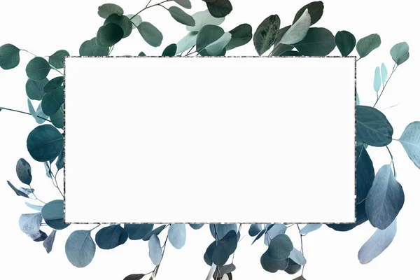 Design floral avec branches d'eucalyptus vertes et cadre argenté — Photo de stock