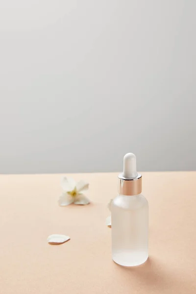 Focalizzazione selettiva della bottiglia di vetro cosmetico con siero vicino ai fiori di gelsomino sul beige isolato sul grigio — Foto stock