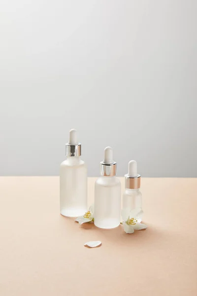 Bouteilles en verre cosmétique et peu de fleurs de jasmin sur beige isolé sur gris — Photo de stock