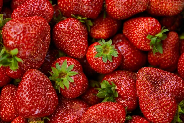 Vue du dessus du fond avec des fraises rouges fraîches — Photo de stock