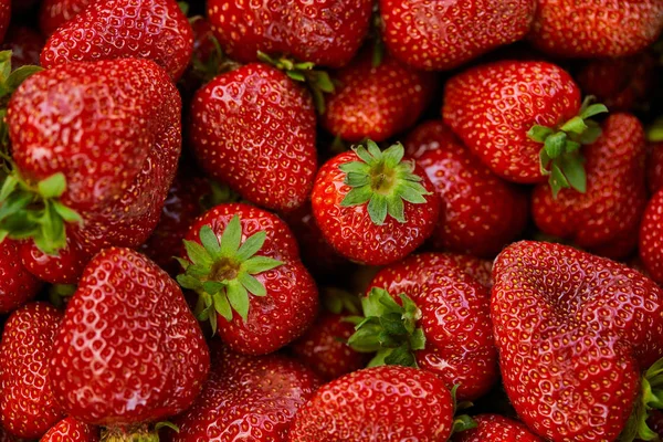 Vista superior del fondo con fresas rojas frescas - foto de stock