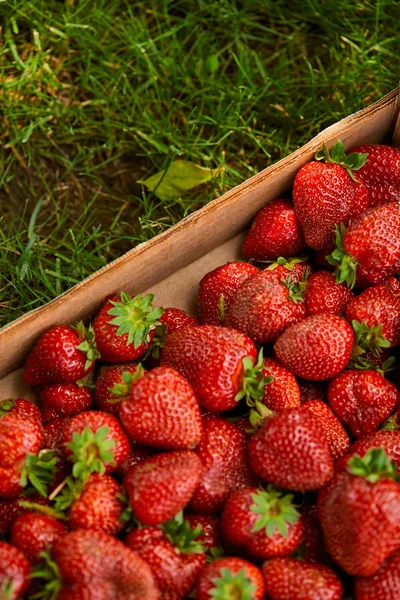 Top view of organic strawberries in wooden box on green grass — Stock Photo