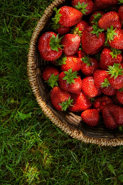 Top view of organic strawberries in wicker basket on green grass — Stock Photo