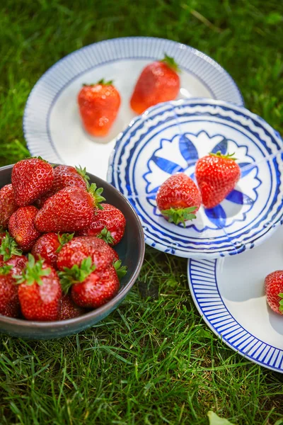 Close up of organic strawberries in bowl and plates on green grass — Stock Photo