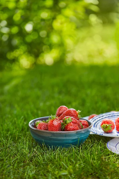 Red sweet strawberries in bowl and plates on green grass — Stock Photo
