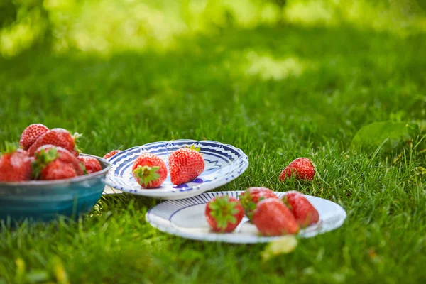 Fresh sweet strawberries in bowl and plates on green grass — Stock Photo