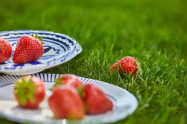 Messa a fuoco selettiva di fragole rosse in piatti su erba verde con spazio copia — Foto stock