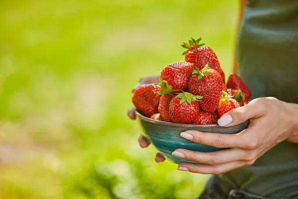 Cropped view of woman holding bowl full of red strawberries — Stock Photo