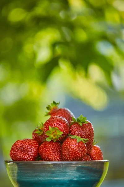 Fuoco selettivo di fragole rosse biologiche in ciotola — Foto stock