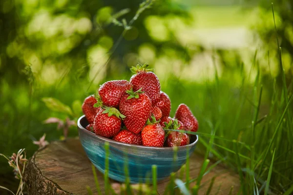 Foyer sélectif de fraises fraîches dans un bol sur souche — Photo de stock