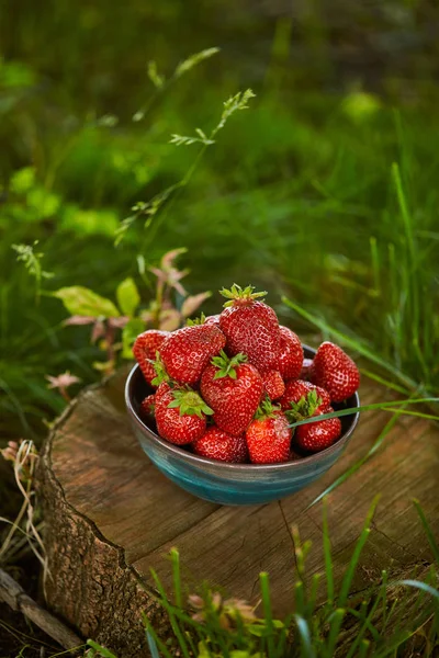 Fresh organic strawberries in bowl on stump — Stock Photo
