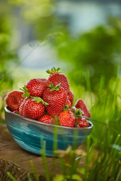 Raw fresh strawberries in bowl on stump — Stock Photo