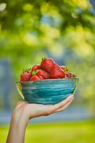 Cropped view of woman holding bowl with fresh strawberries — Stock Photo