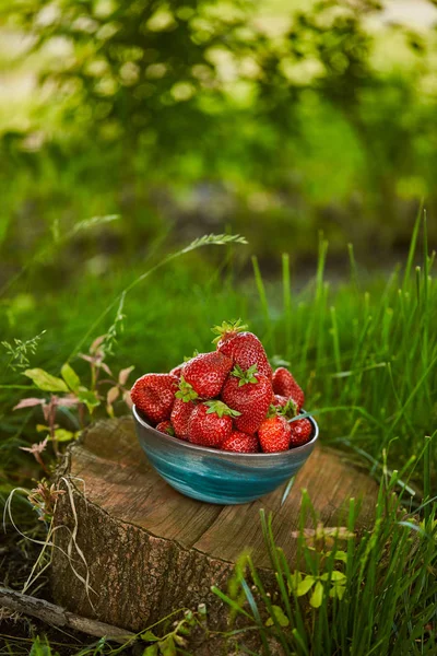 Organic strawberries in bowl on stump in garden — Stock Photo