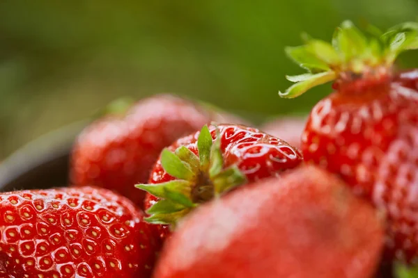 Selective focus of raw red strawberries on green grass — Stock Photo