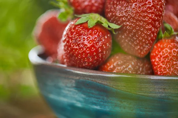 Selektiver Fokus frischer roter Erdbeeren in Schüssel — Stockfoto