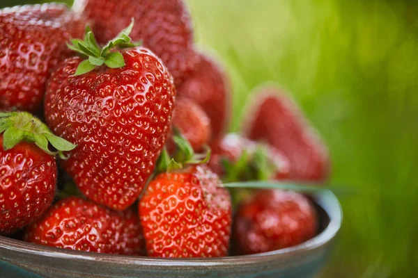 Close up of fresh red strawberries in bowl — Stock Photo