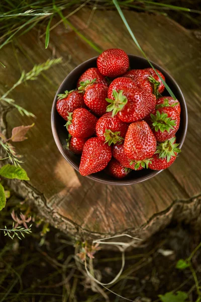 Top view of red strawberries in bowl on stump — Stock Photo