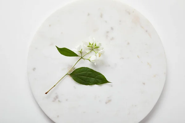 Vista dall'alto del piatto con gelsomino su superficie bianca — Foto stock