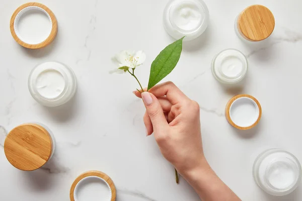 Vista cortada da mão da mulher com flores de jasmim sobre frascos com creme cosmético na superfície branca — Fotografia de Stock