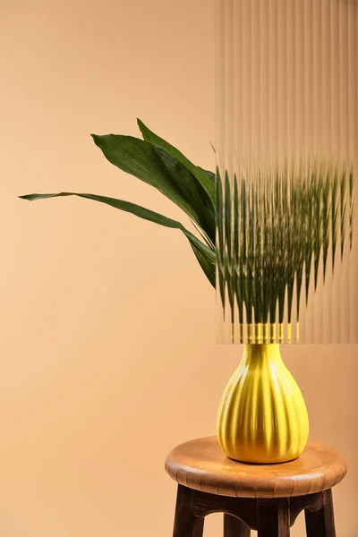 Green leaves of plant in yellow vase isolated on beige behind reed glass — Stock Photo