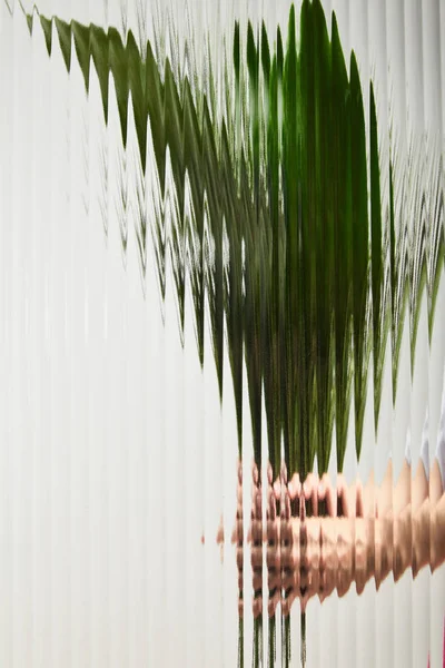 Cropped view of adult holding green leaves blurred on white behind reed glass — Stock Photo