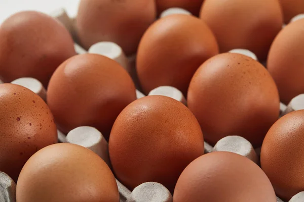 Enfoque selectivo de huevos de pollo en caja de cartón - foto de stock