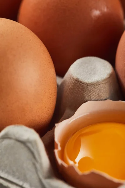 Selective focus of broken eggshell with yellow yolk near eggs in carton box — Stock Photo