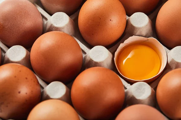 Guscio d'uovo rotto con tuorlo giallo vicino alle uova in scatola di cartone — Foto stock