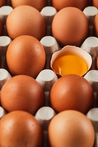 Foco selectivo de cáscara de huevo rota con yema amarilla cerca de los huevos en caja de cartón - foto de stock