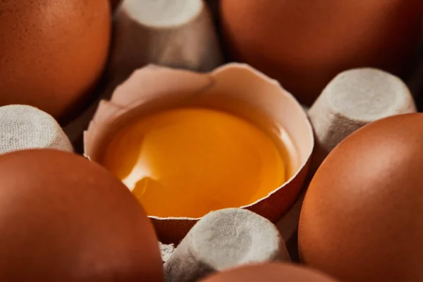 Vista de cerca de la cáscara de huevo rota con yema amarilla cerca de los huevos en caja de cartón - foto de stock