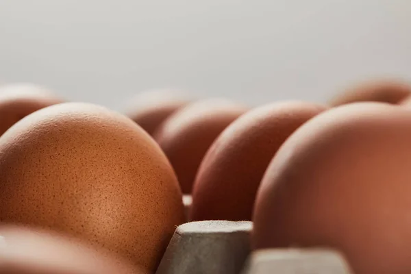 Enfoque selectivo de huevos de pollo en caja de cartón - foto de stock