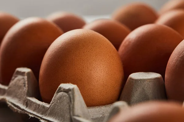 Enfoque selectivo de huevos de pollo en caja de cartón - foto de stock