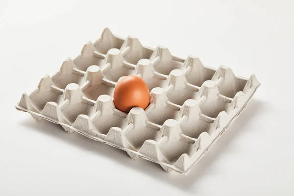 Chicken egg in carton box on white surface — Stock Photo