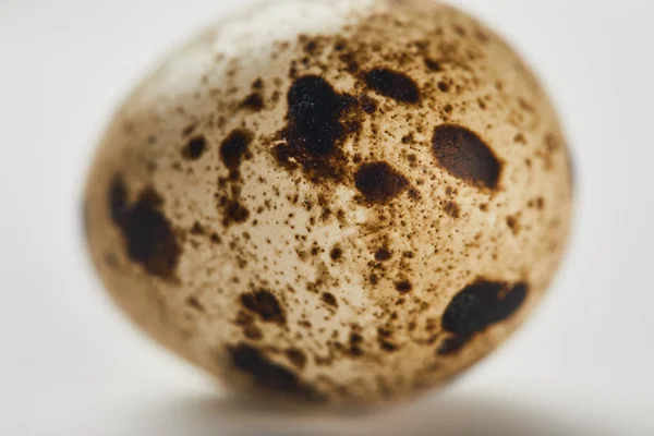 Selective focus of quail egg on white surface — Stock Photo