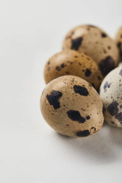 Enfoque selectivo de huevos de codorniz en la superficie blanca - foto de stock