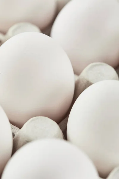 Set of white chicken eggs in carton box — Stock Photo