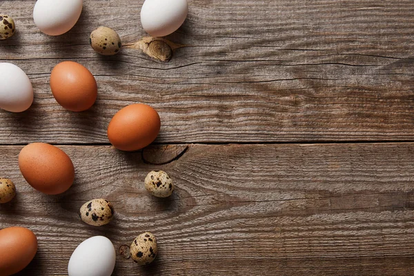 Вид зверху на перепелині та курячі яйця на дерев'яному столі — стокове фото