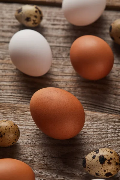 Enfoque selectivo de huevos de codorniz y pollo en mesa de madera - foto de stock