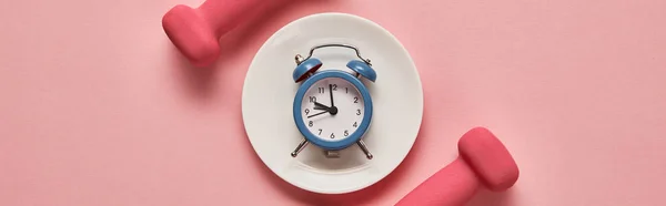 Top view of dumbbells and plate with toy alarm clock on pink background, panoramic shot — Stock Photo