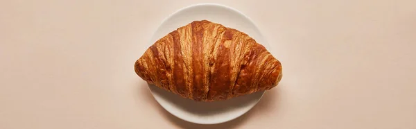 Vista superior de sabroso croissant sobre plato blanco sobre fondo beige, plano panorámico - foto de stock