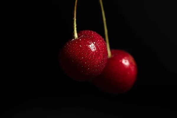 Rojo deliciosas cerezas con gotas de agua aisladas en negro - foto de stock