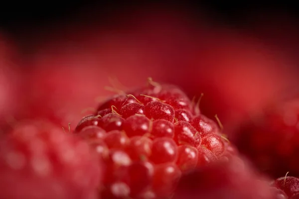 Vue rapprochée de délicieuses framboises fraîches mûres — Photo de stock