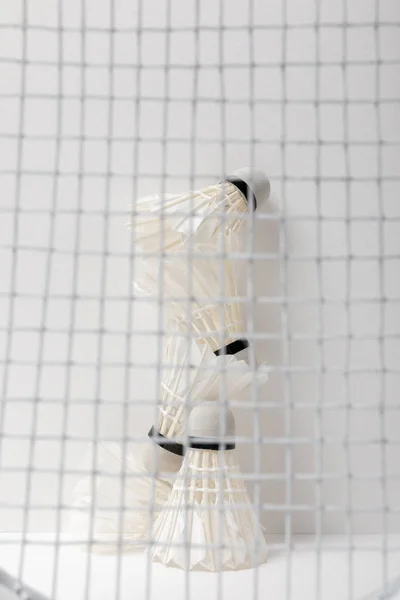 Weiße Federbälle hinter Schlägernetz auf weißem Hintergrund — Stockfoto